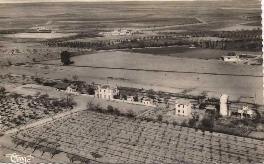 la meskiana,vue aerienne d'une exploitation agricole