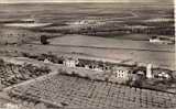 la meskiana,vue aerienne d'une exploitation agricole