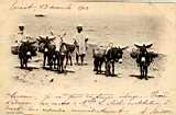 mustapha,bourricotiers,plage