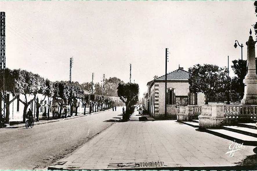 novi,avenue de cherchell et monument aux morts