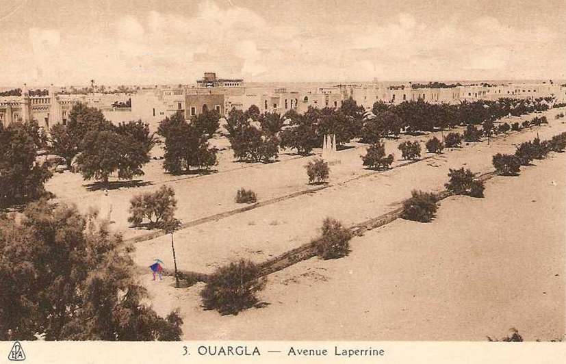 ouargla,oasis,avenue laperrine