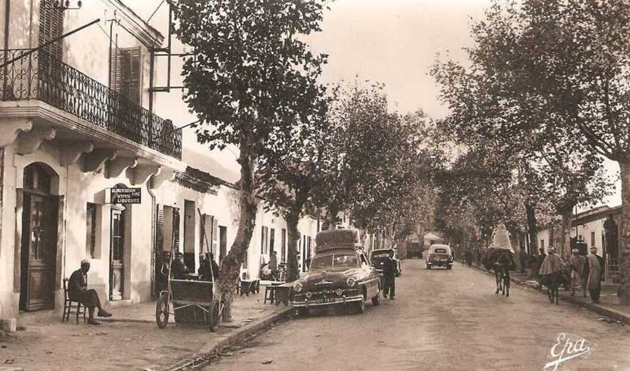 palestro:avenue de constantine