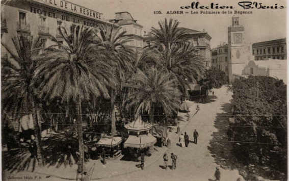 -Alger, la Cathédrale: palmiers de la Régence, 51 ko