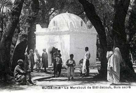 MARABOUT SIDI6YACOUB 0 bLIDA