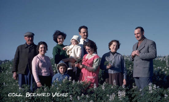 La famille Ferrer