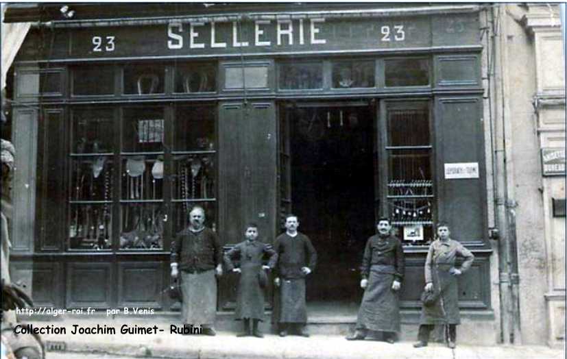 Sellerie