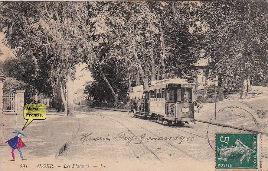 les platanes