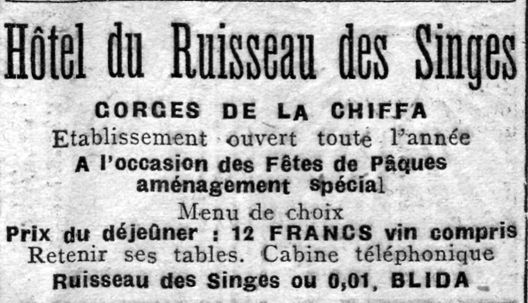 L'hôtel du Ruisseau des singes