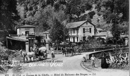 Chalet et hôtel du ruisseau des singes