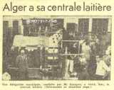 Alger a sa centrale laitière 