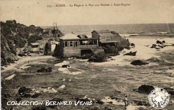 la plage et le parc à huîtres