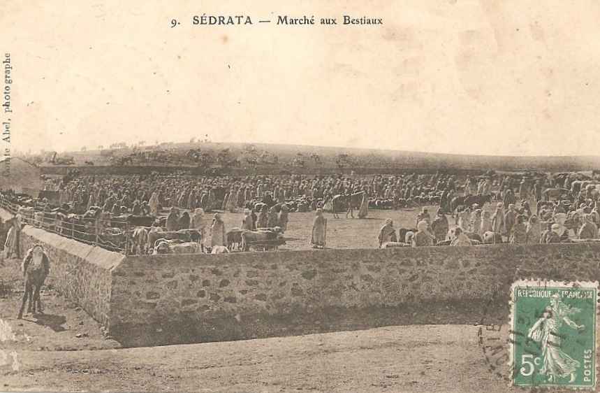 Le marché aux bestiaux