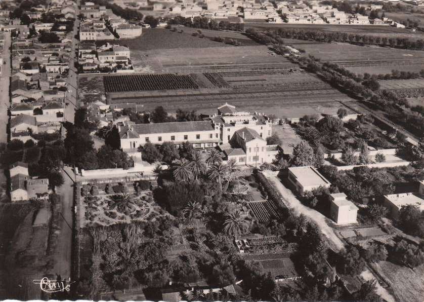 sidi-bel-abbes,Vue aérienne sur l'Ecole Sonis et Rue Mace