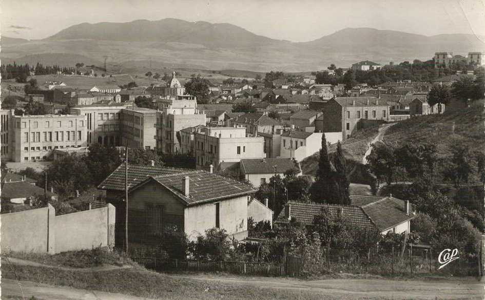 souk-ahras,taghate,une vue generale