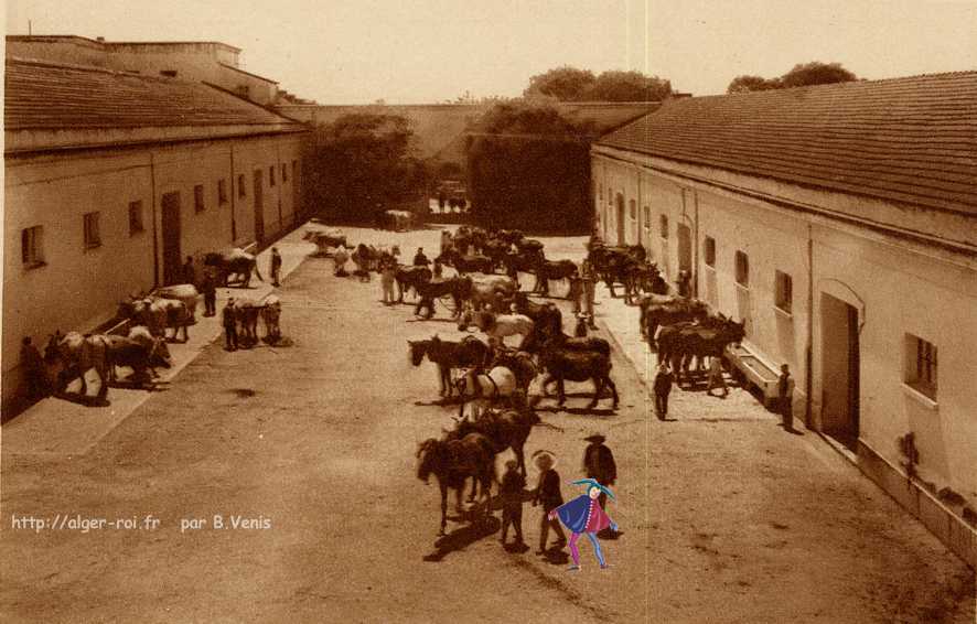 la trappe de staoueli, borgeaud proprietaire,les ecuries