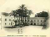 Abbaye, la cour des palmiers