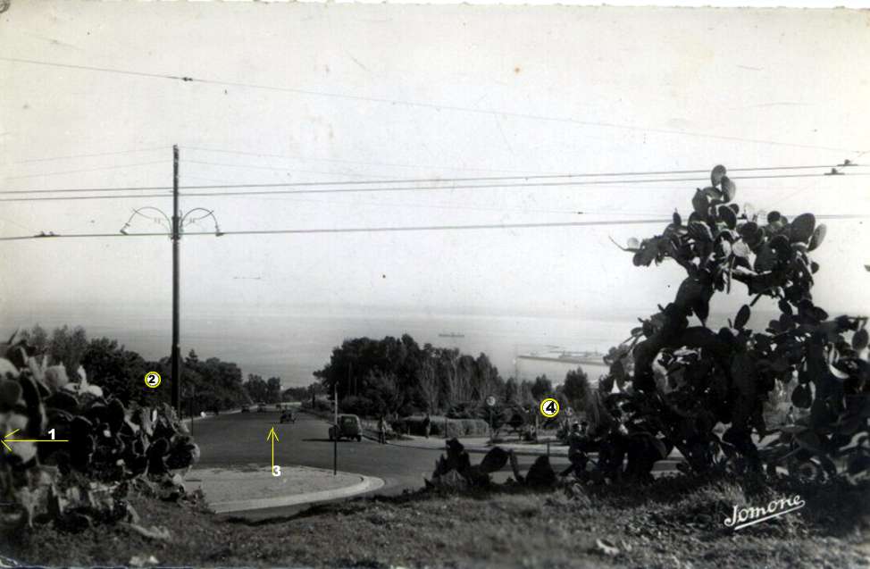 tagarins a alger, l'avenue marechal de lattre de tassigny, bourmont,joffre