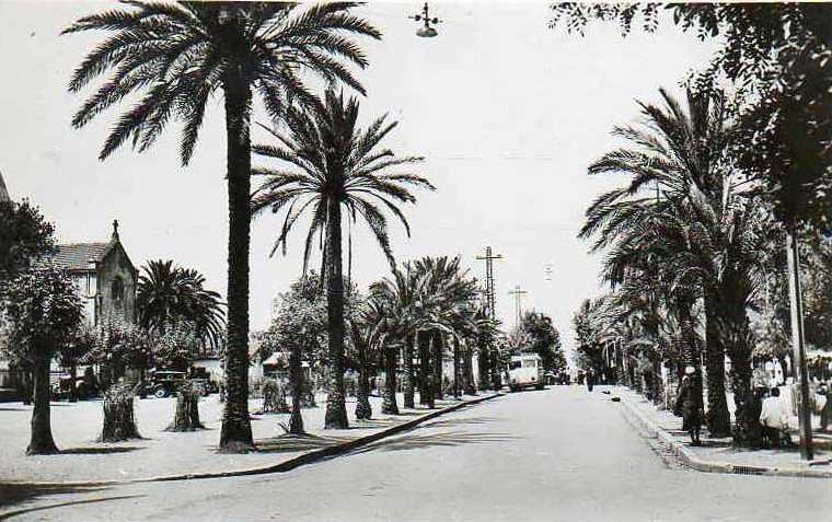 Vue sur l'église et l'allée des palmiers.