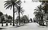 taher,vue sur l'eglise et l'allee des palmiers