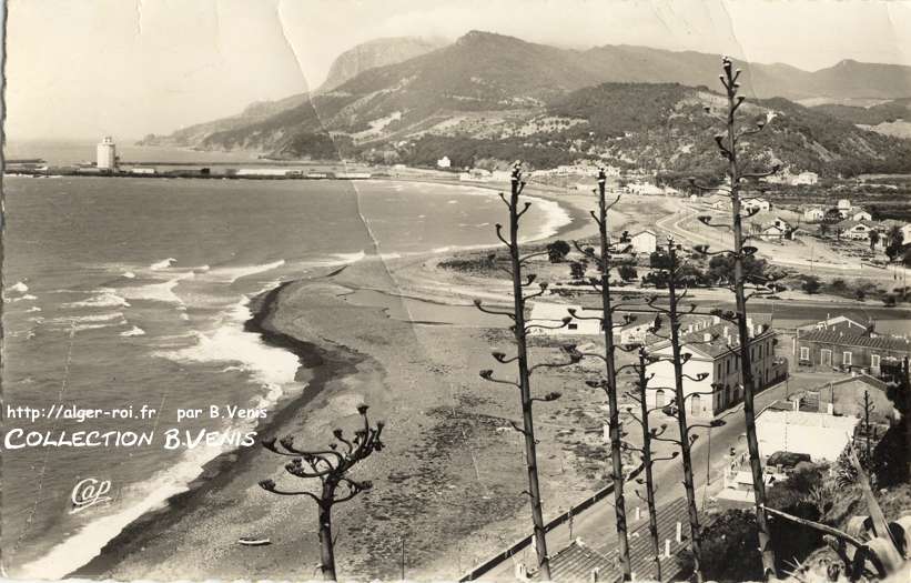 vue générale sur Ténès-marine