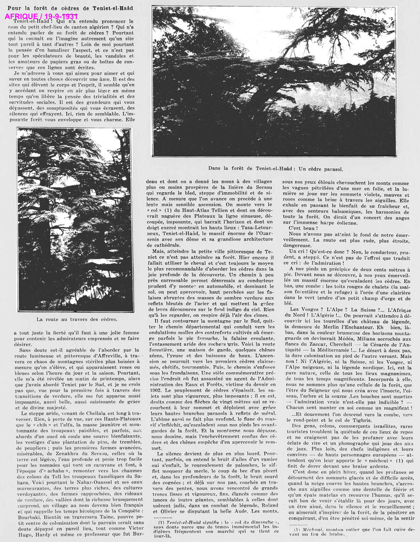 Pour la forêt de cèdres de Teniet-el-Haâd