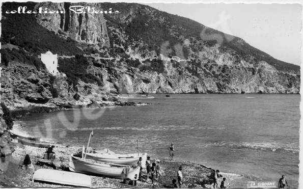 Tipaza: la corniche du Chenoua et la plage des Galets