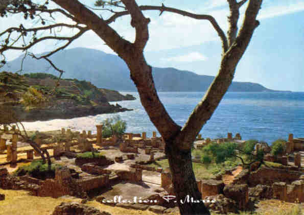 Vue générale sur Tipaza