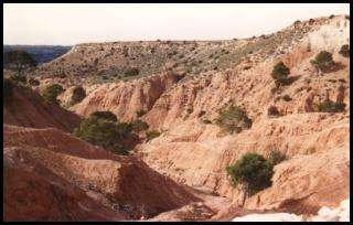 la vallée de l'oued Mellah (la rivière salée) 