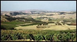 Le plateau de Médéa près de Ben Chicao.