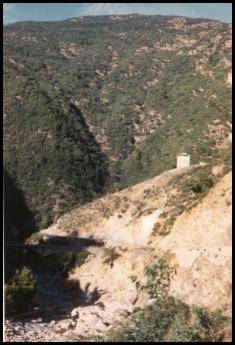 vue sur le djebel dominant les gorges de la Chiffa.