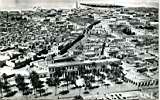 Touggourt palmeraies dans le Sahara,vue aerienne