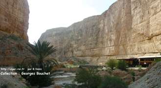 les gorges de Seldja 