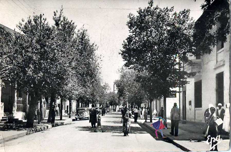 vialar,rue principale