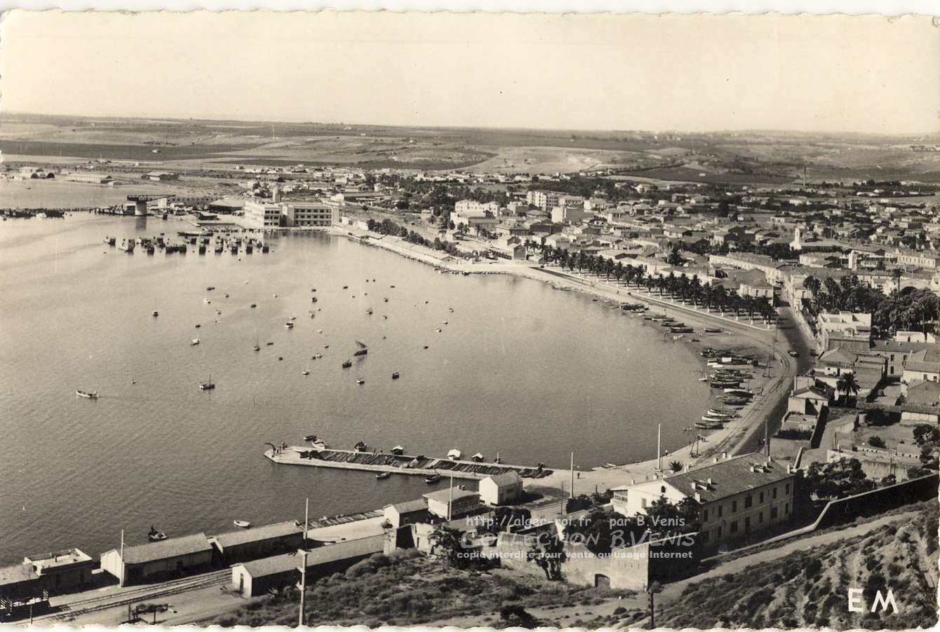 ARZEW : vue générale du port