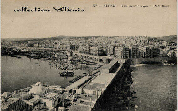 Alger, vue panoramique prise de l'Amirauté