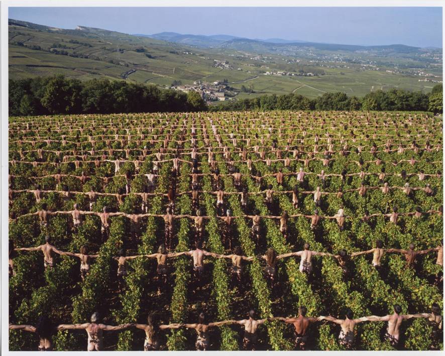 Dans les vignobles, une installation de Spencer Tunick