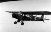 Piper Cup o-59/L-4