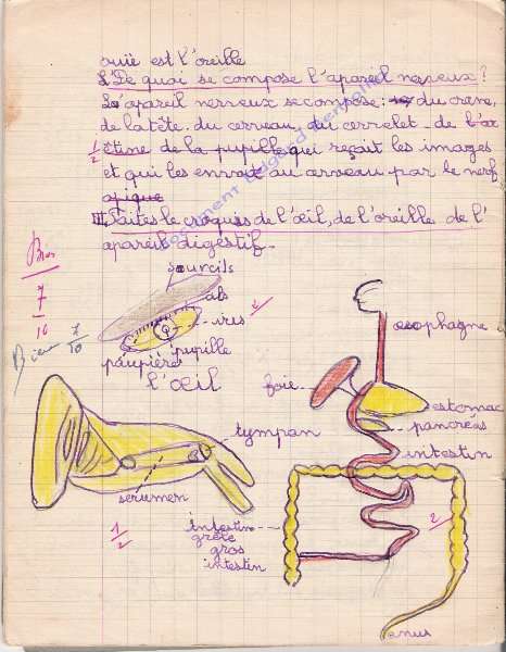 cahier, sciences