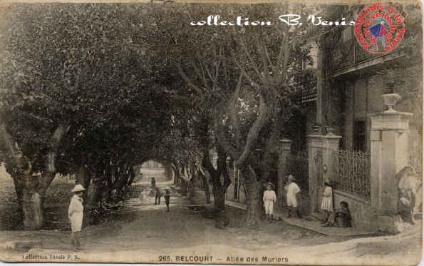 l'allée des Mûriers, écrite le 13 février 1916. 