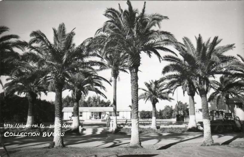 Camp Basset de Beni-Messous