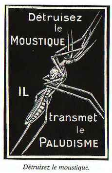 Détruisez le moustique.