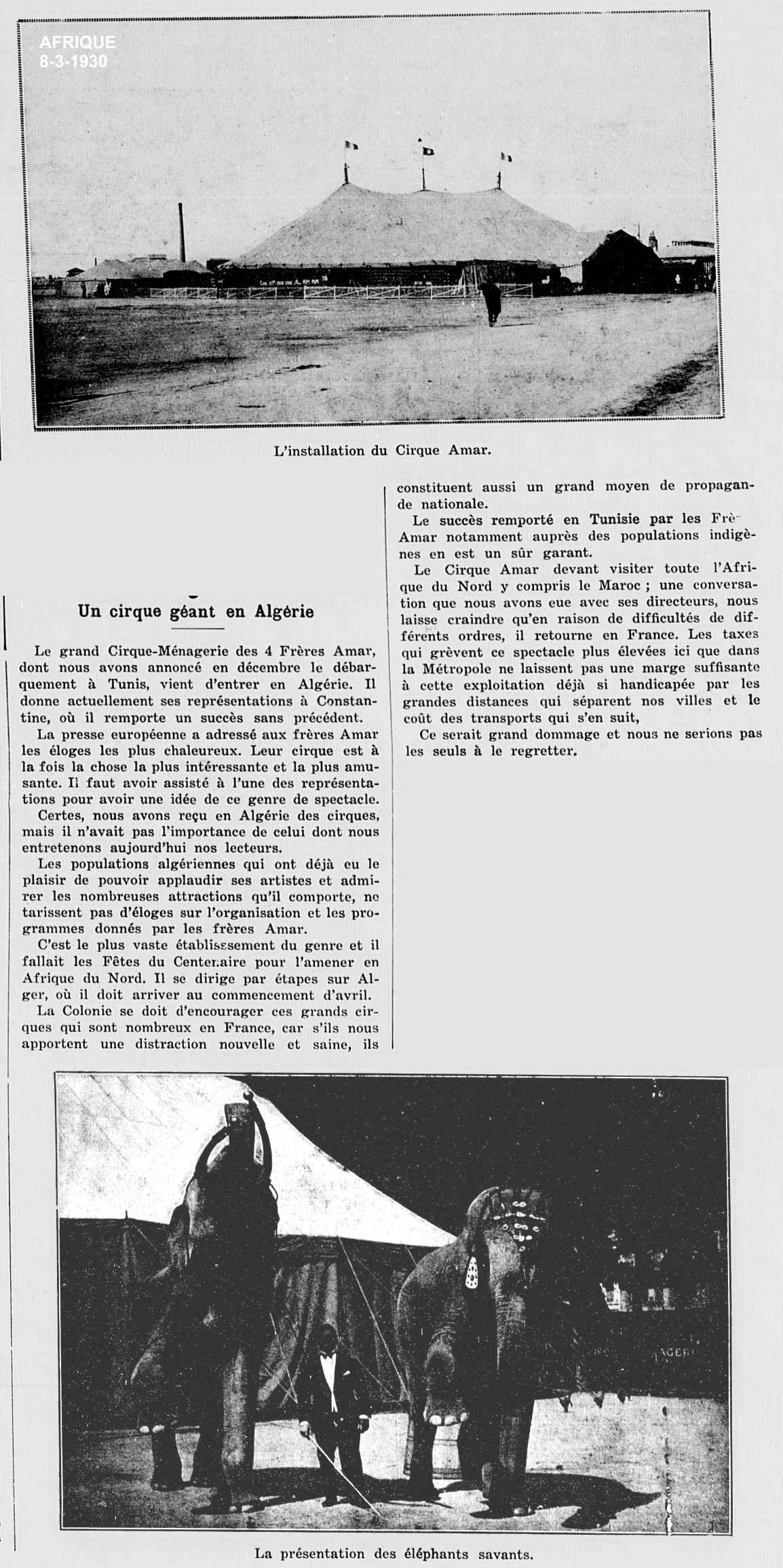 Le cirque Amar à Alger - mars et avril 1930