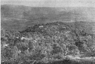 les plantations de la zone pluvieuse