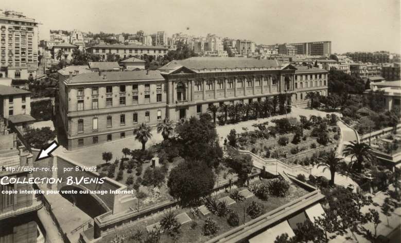 L'université d'Alger construite en 1909. En bas, le " trou des facs " (coll.B.Venis)