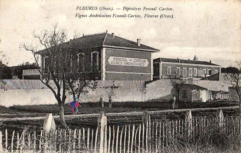 Pépinières Fenouil - Carton