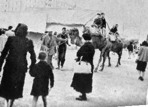la promenade à dos de chameau,