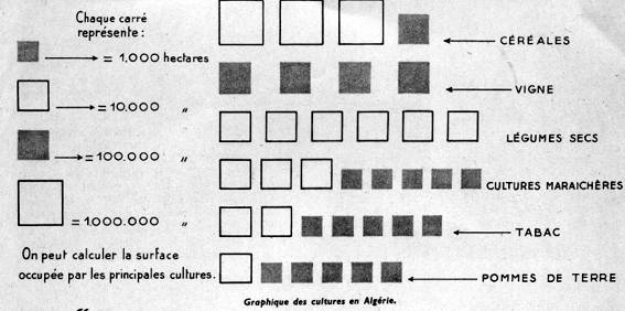 Graphique des cultures en Algérie