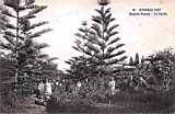 Hussein-Dey,hopital parnet,parney, le jardin