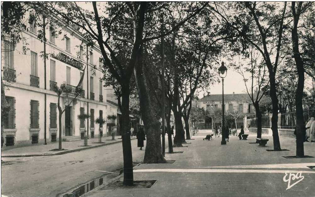 La banque de l'Algérie et cours Willigens