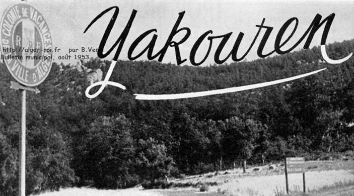 la foret autour de la colonie
